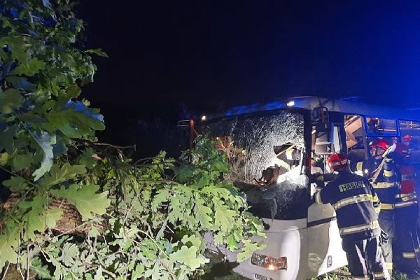 Vážná nehoda autobusu u Omic: Padající strom zranil řidičku