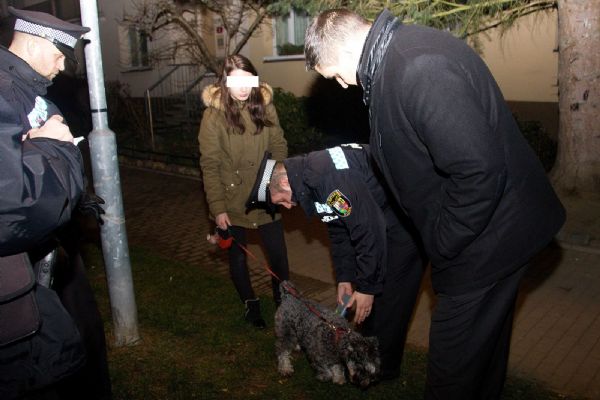  Strážníci v centru Plzně kontrolovali pejskaře
