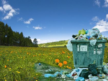 Ekologická transformace - klíč k podnikatelskému úspěchu