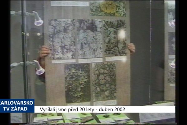 2002 – Sokolov: Výstava nabízí lišejníky pěti kontinentů (TV Západ)