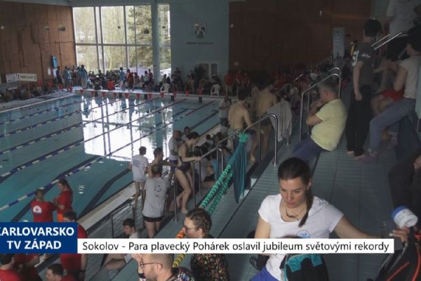 Sokolov: Para plavecký Pohárek oslavil jubileum světovými rekordy (TV Západ)