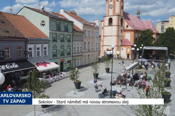Sokolov: Staré náměstí má novou stromovou alej (TV Západ)
