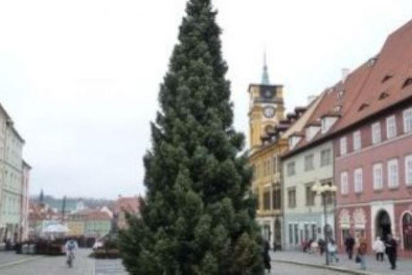 Cheb: Město hledá pro letošní rok vánoční strom