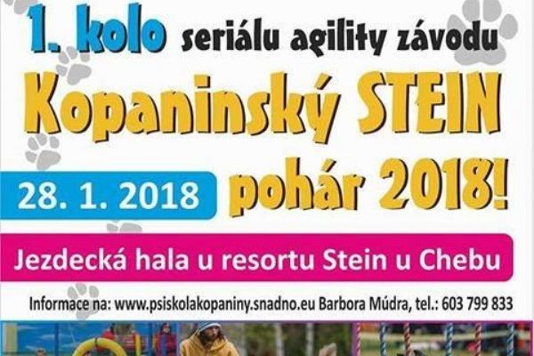 Cheb: Poslední neděli v měsíci se koná Kopaninský Stein pohár 2018