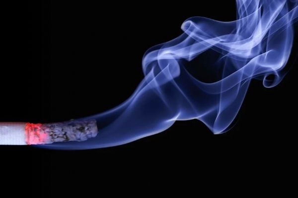 Chebsko: Cigarety kradl po kartónech