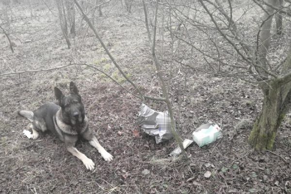 Chodov: Služební pes Garrit vypátral několik odcizených předmětů