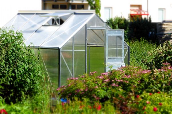5 rad jak pěstovat ve skleníku efektivně