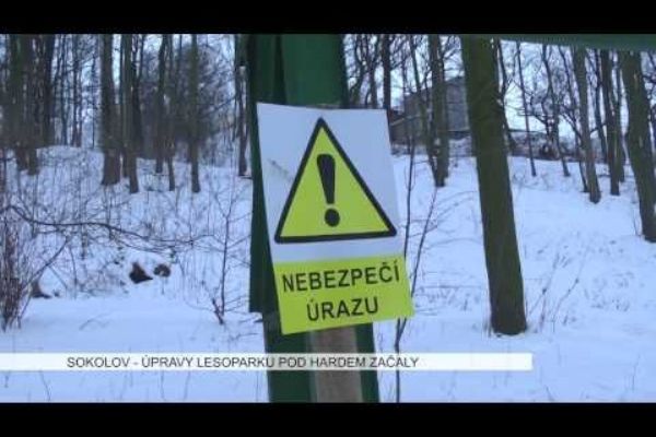 Sokolov: Úpravy lesoparku pod Hardem začaly (TV Západ)