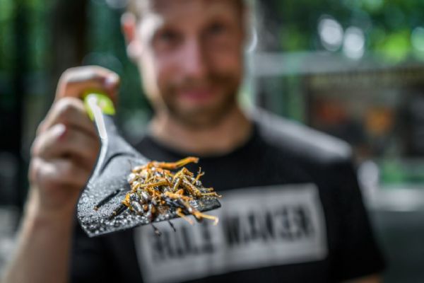 Víkend hmyzožravců v Zoo Praha - ochutnejte stravu budoucnosti
