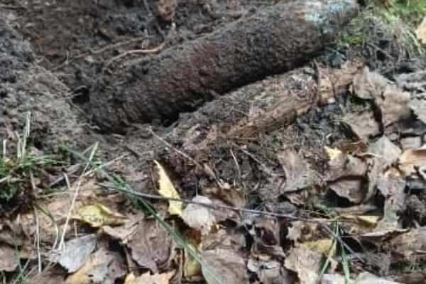 Arnoltov: Při hledání hub našla dělostřelecký granát