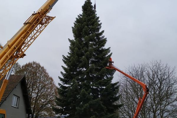 Cheb: Do města míří vánoční strom