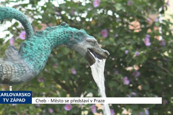 Cheb: Město se představí v Praze (TV Západ)