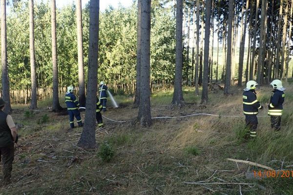 Karlovarsko: Rozdělal v lese oheň. Požár likvidovaly dvě jednotky hasičů