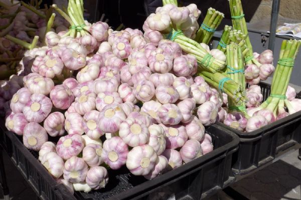 Karlovy Vary: Zítřejší trhy nabídnou i několik odrůd česneku