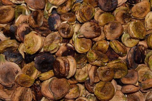 Potravinářská inspekce zadržela zásilku sušených fíků s aflatoxiny