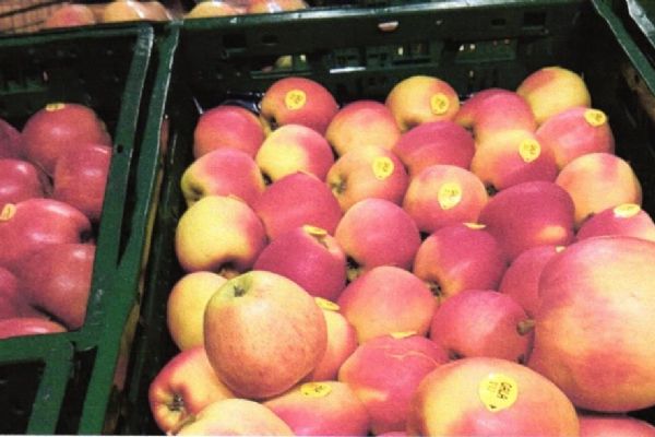 Potravinářská inspekce zjistila opět polská jablka s pesticidy