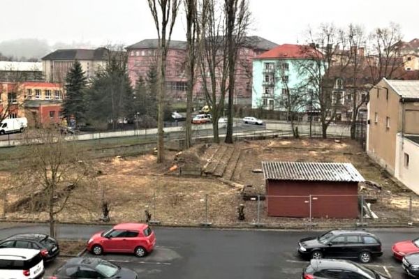 Sokolov: Stromy byly pokáceny bez povolení