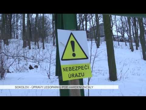 Sokolov: Úpravy lesoparku pod Hardem začaly (TV Západ)