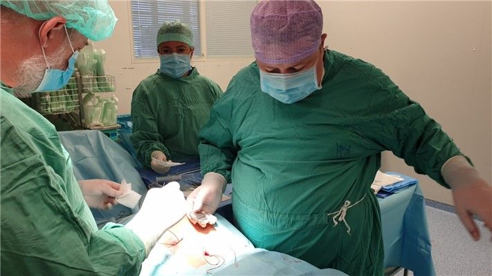 Lékaři ústecké nemocnice provedli v Krajské zdravotní první míšní stimulaci
