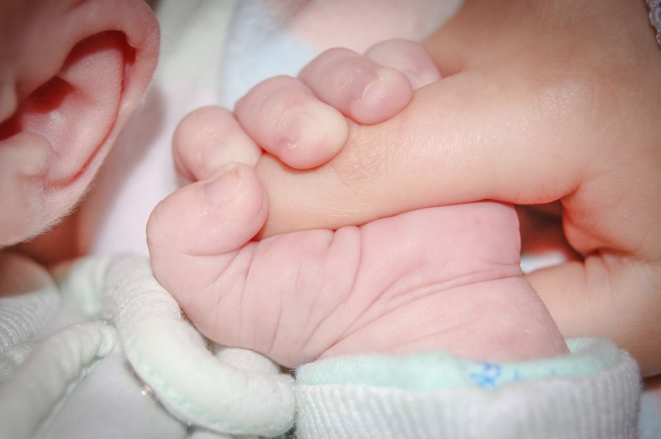 Nejmenší a největší miminko v krajských nemocnicích dělilo 4,5 kg