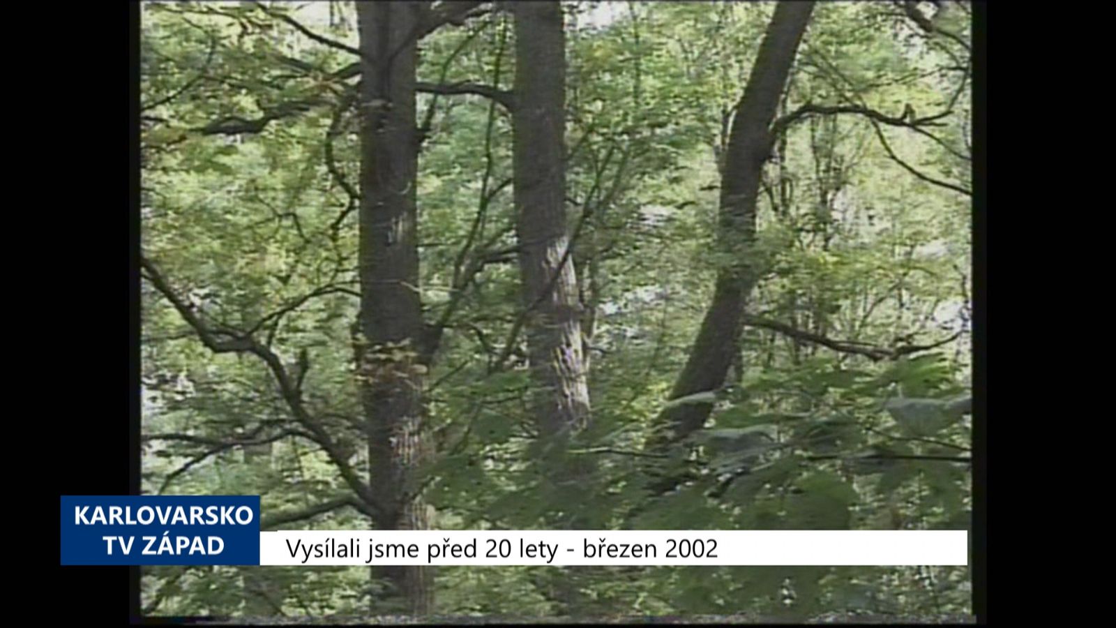 2002 – Cheb: Město chce sejmout zástavu bavorského lesa (TV Západ)