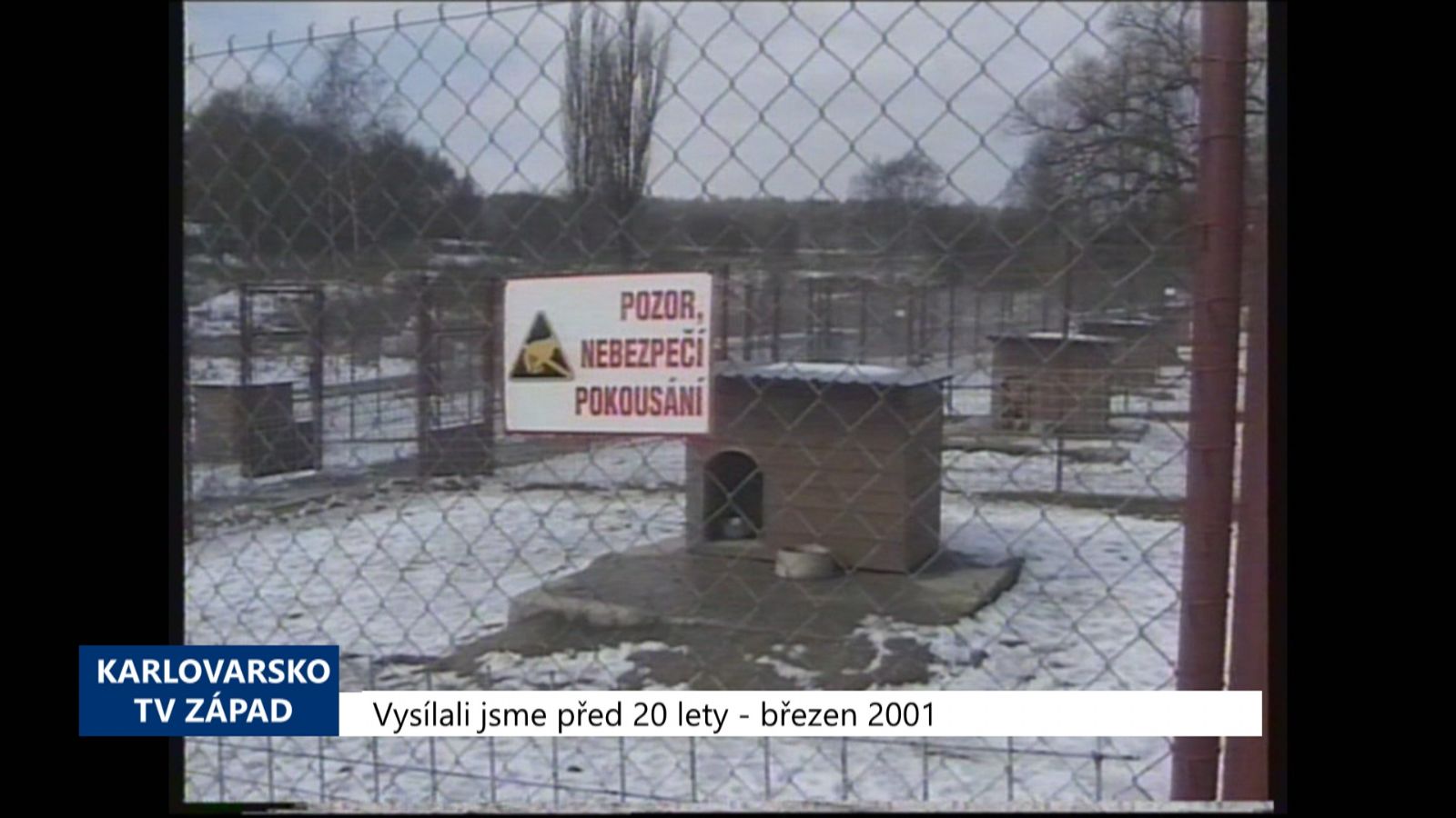2001 – Horní Hraničná: Psí útulek nabízí Hotel pro psy (TV Západ)