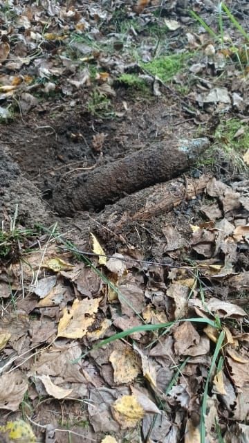 Arnoltov: Při hledání hub našla dělostřelecký granát