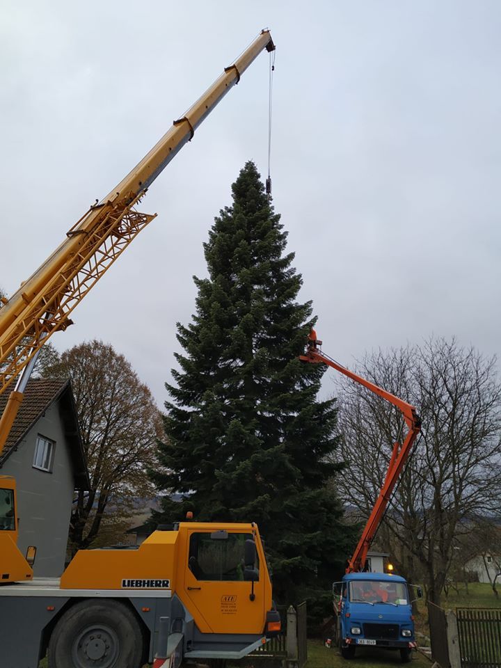 Cheb: Do města míří vánoční strom