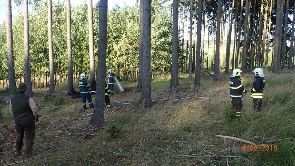 Karlovarsko: Rozdělal v lese oheň. Požár likvidovaly dvě jednotky hasičů