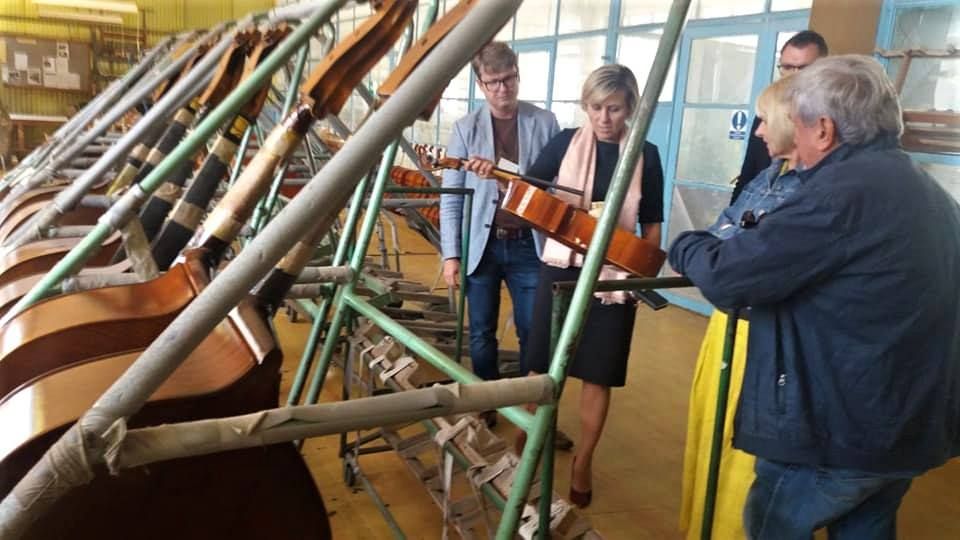 Karlovarský kraj se stane majitelem historické sbírky hudebních nástrojů