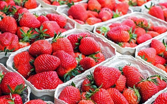Karlovy Vary: Na tradičních farmářských trzích budou k dostání jahody, meruňky a třešně