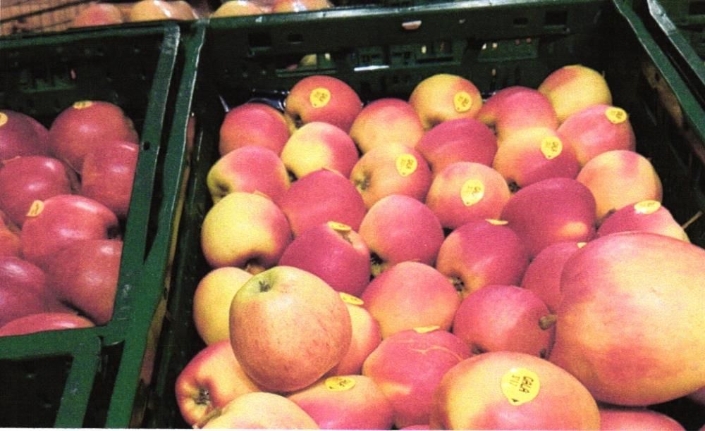 Potravinářská inspekce zjistila opět polská jablka s pesticidy