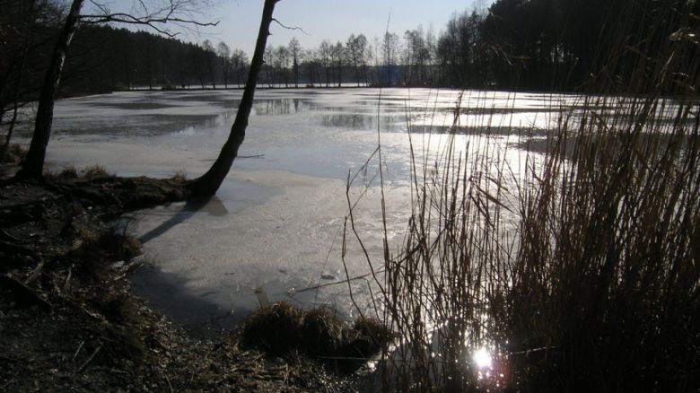 Plzeň vyčistí Malý Bolevecký rybník, bude i ke koupání