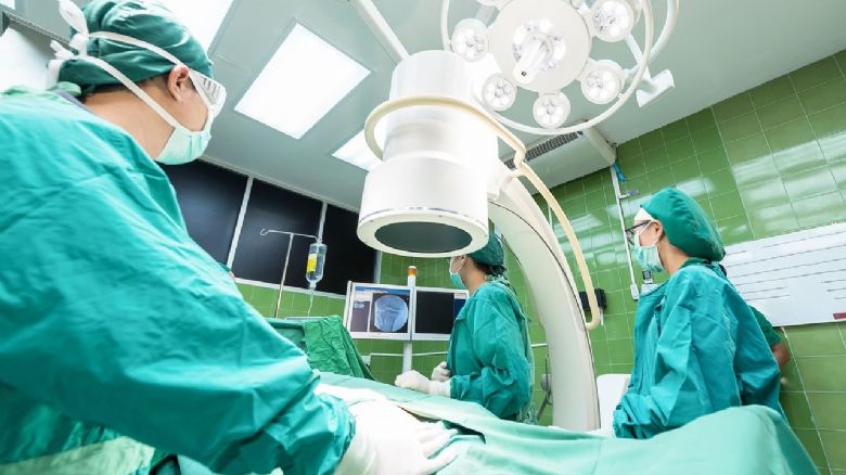 Průlom v medicíně - prasečí plíce úspěšně transplantována do člověka