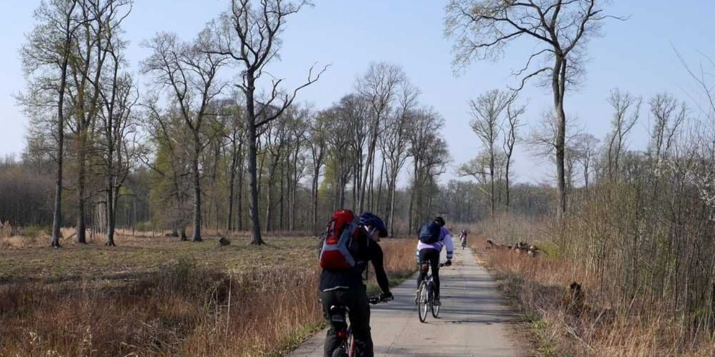 Olomoucký kraj posiluje cyklostezky: Investice 150 milionů přinesly 150 km tras