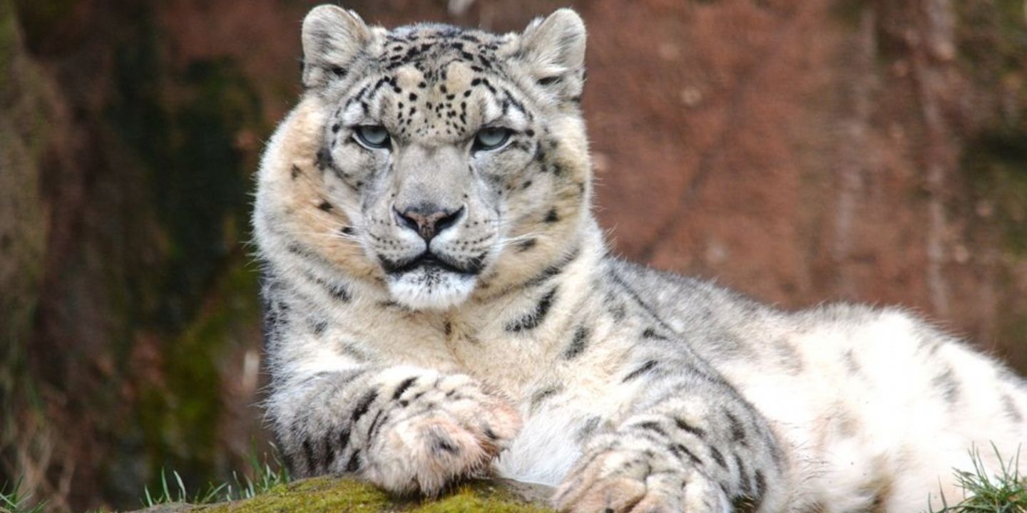 Plzeňská zoo láká na novinky