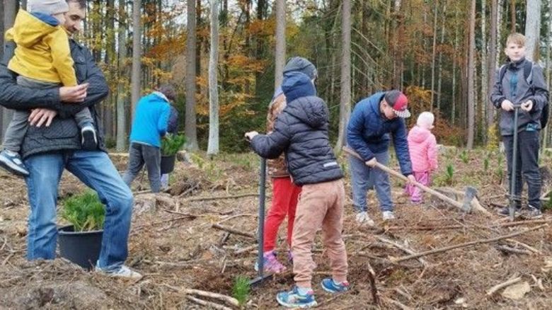 Plzeň zve na Den pro les: sázení stromů a zábava pro rodiny