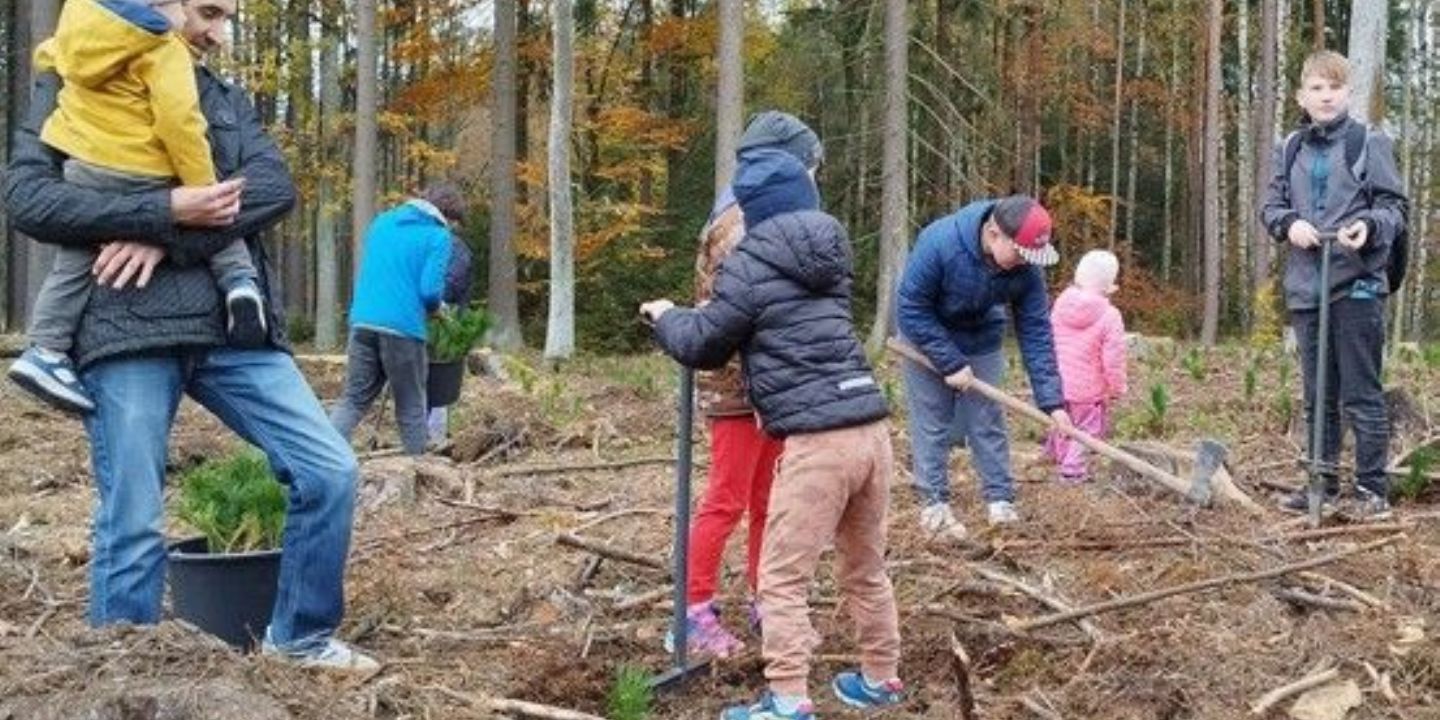 Plzeň zve na Den pro les: sázení stromů a zábava pro rodiny