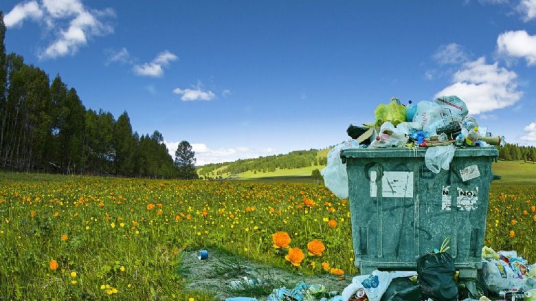 Ekologická transformace - klíč k podnikatelskému úspěchu