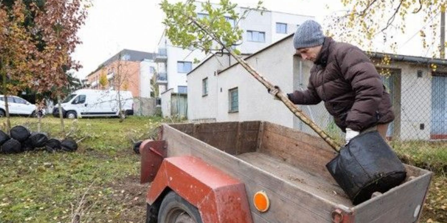 Plzeň: Projekt 2025 přinese 700 ovocných stromů a dotace až 3 tisíce Kč