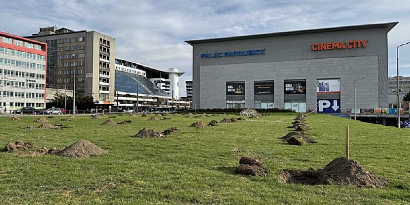 Ovocný sad promění centrum Pardubic