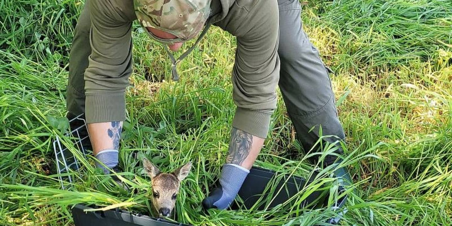 Spolek zachraňuje srnčata drony