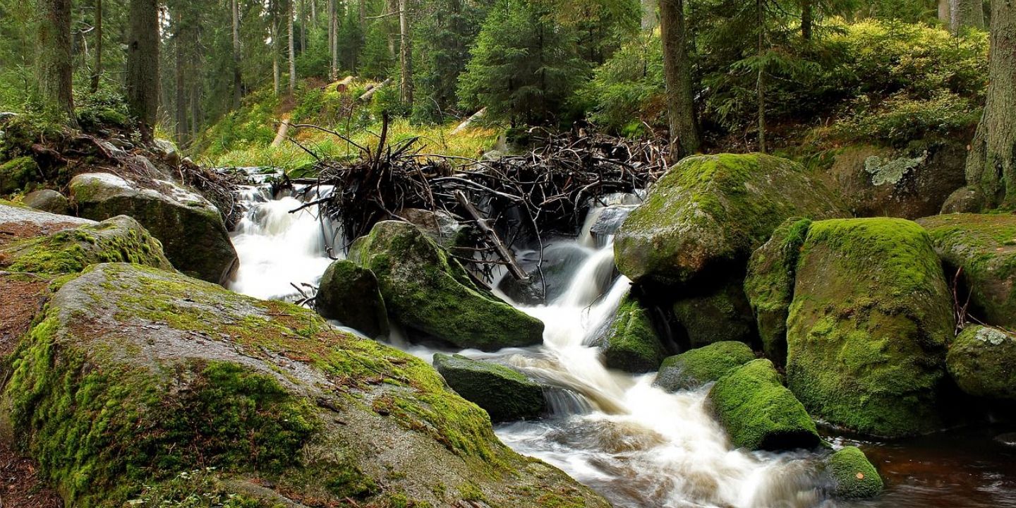 Šumava láká na nové tratě