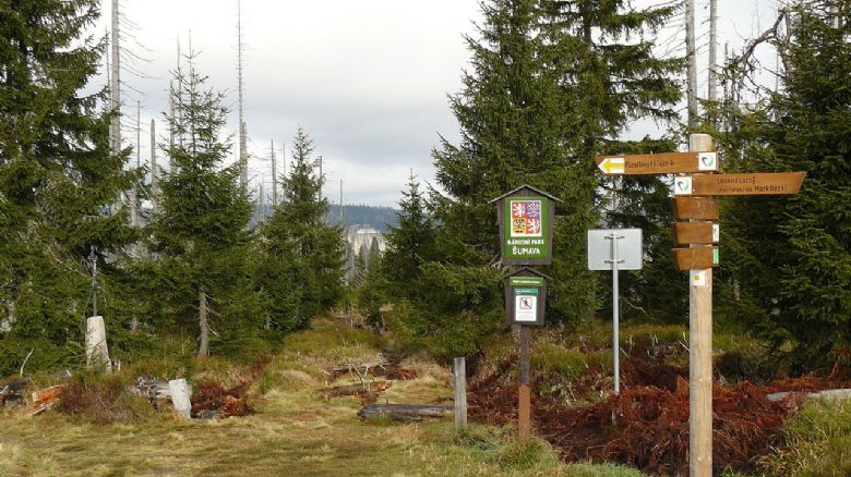 Šumava otevře turistickou stezku na Modrý sloup