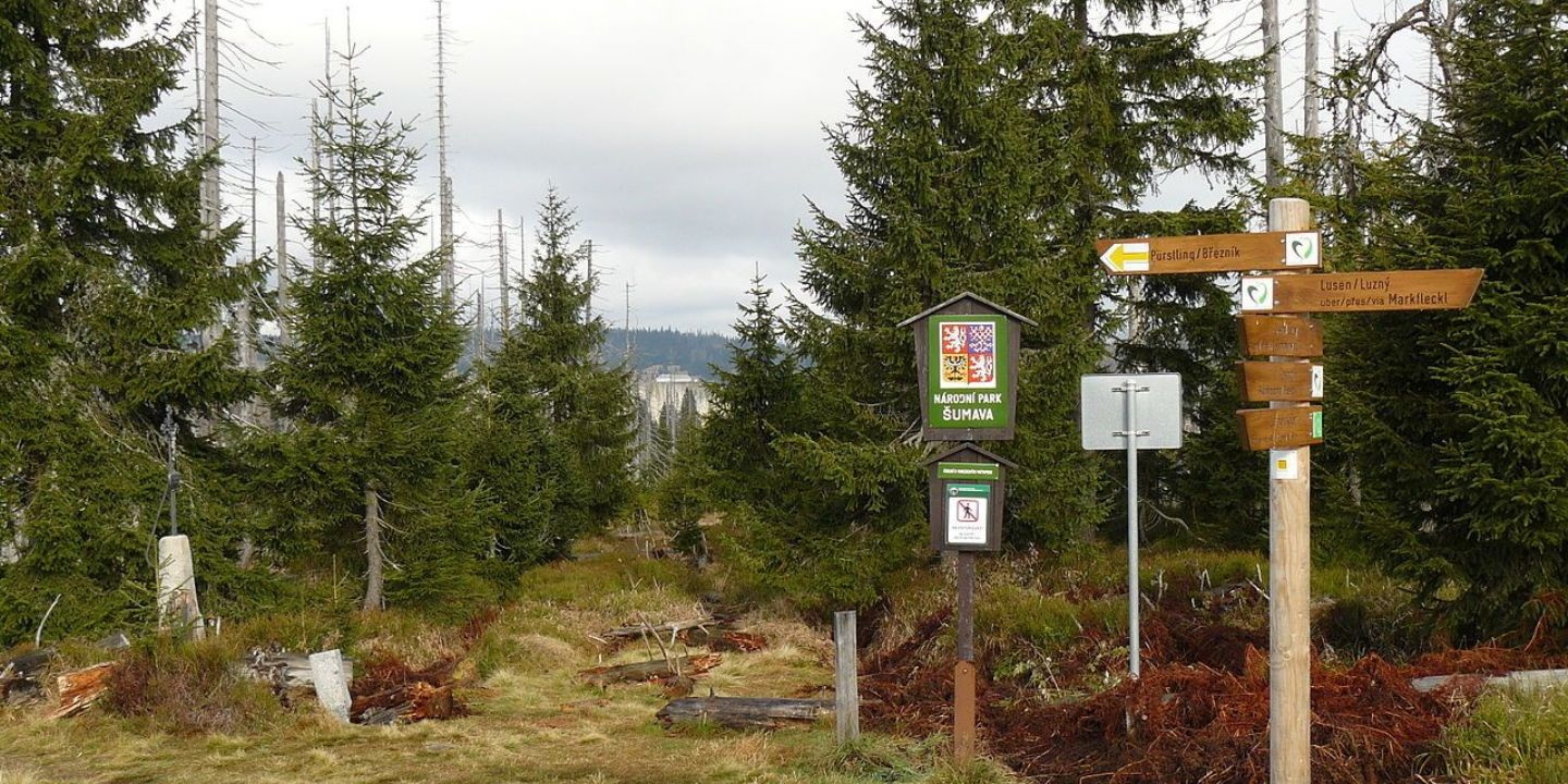 Šumava otevře turistickou stezku na Modrý sloup